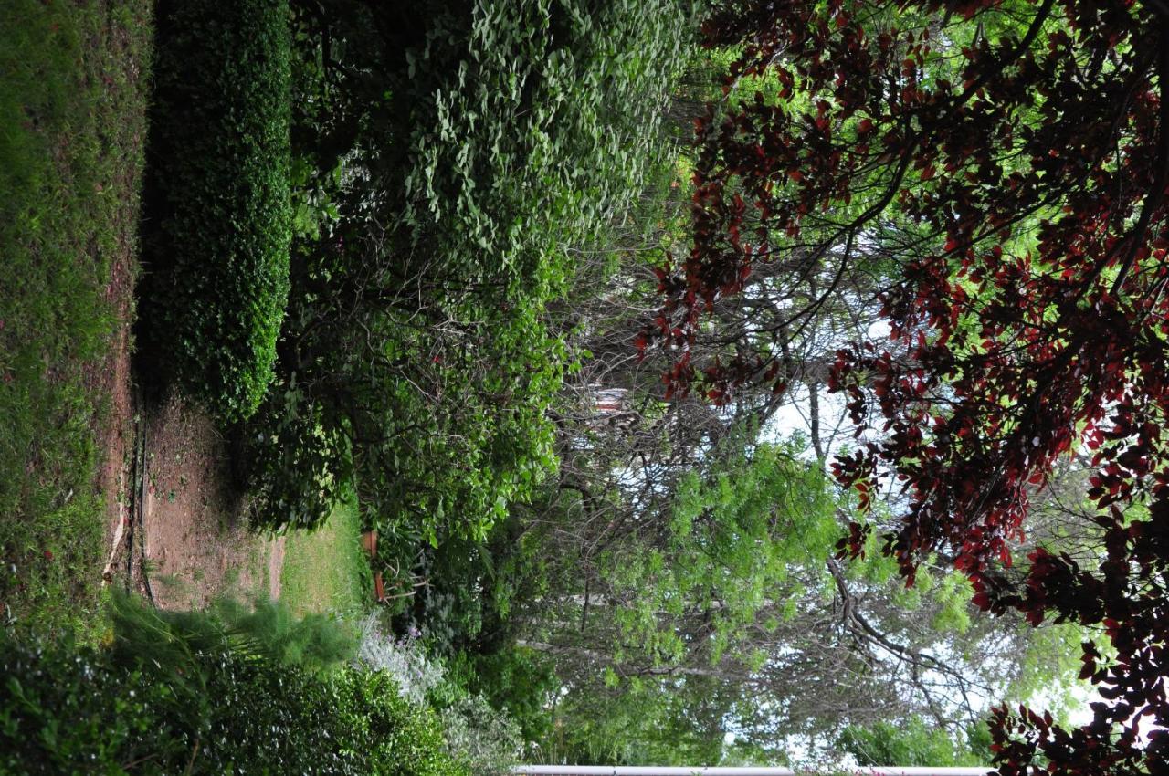 Holmhurst Guest House Bathurst Esterno foto