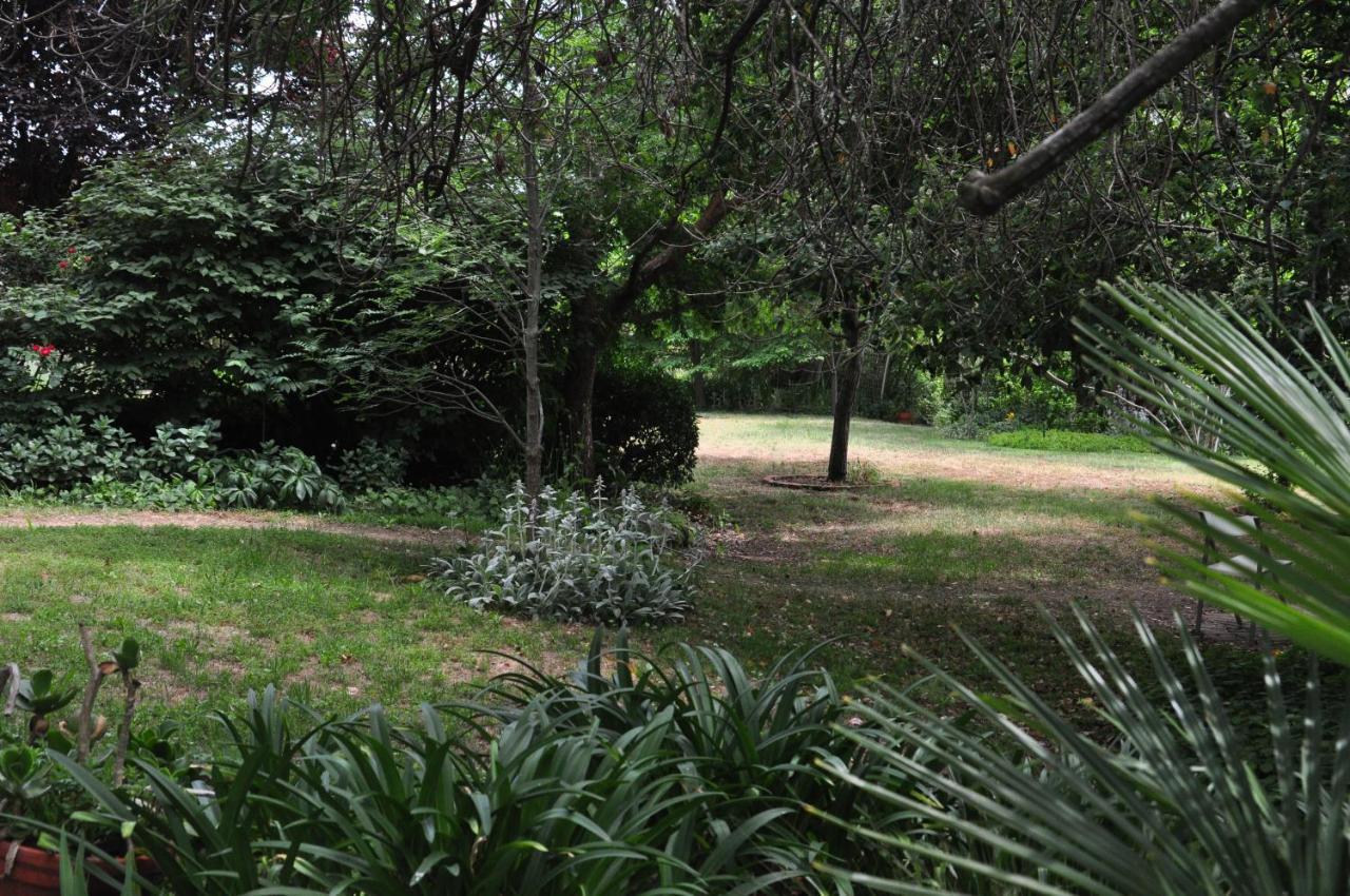 Holmhurst Guest House Bathurst Esterno foto